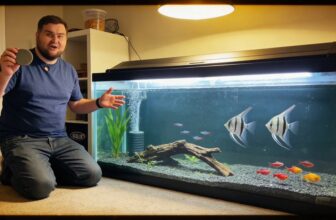 top aquarium air stones top aquarium air stones