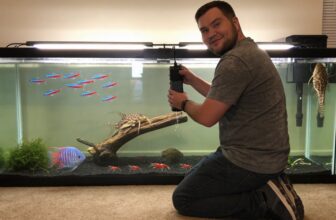 top aquarium filtration choices2022024
