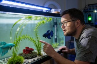 anacharis bettas plant guide