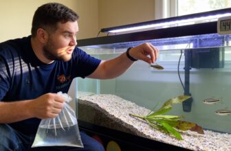 fish tank mistakes avoid