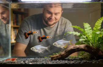 guppy lifespan extension tips