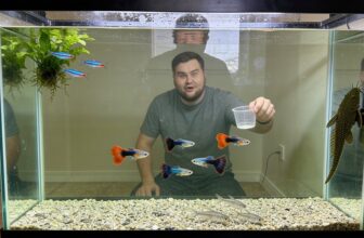 guppy tank capacity calculation
