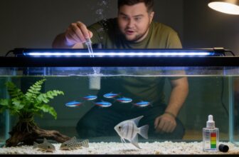 maintaining ideal guppy ph
