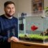 Diamond Tetra 101: Care, Tank Mates, Size More!