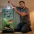 15 Peaceful Community Fish For Your Tank (Updated List)