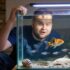 Common Pleco Care: Diet, Size, Lifespan, Tank Size