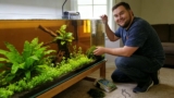 How To Grow Aquarium Plants ( How To Grow Them Faster)