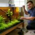 Bumblebee Catfish Care: Tank Mates, Size, And More!