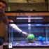 20 Best Goldfish Tanks for 2026