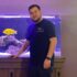 Six Line Wrasse Care Guide: Tank Setup, Diet & Behavior
