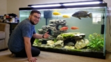 15 GREAT African Cichlid Tank Mates ( 9 To Avoid)