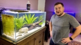Controlling Algae in Ponds and Water Gardens