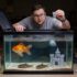 14 Great Black Neon Tetra Tank Mates & 15 To Avoid