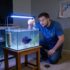 Ruby Tetra: Vibrant Care Guide