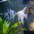The Science of Aquariums: Writing About Ecology, Biology, and Sustainability