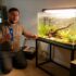 20 Best Automatic Aquarium Fish Feeders for 2026