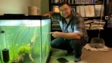 The Science of Aquariums: Writing About Ecology, Biology, and Sustainability