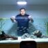 Ghost Shrimp Care: Breeding, Feeding & Tank Setup Tips