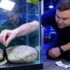 20 Best Aquarium Gravel for 2026 (Make Your Tank Pop)