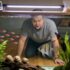 How Long Can a Betta Fish Really Go Without Food? What Not To Do With Your Betta While on Vacation