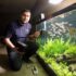 Keyhole Cichlid Care: Tank Setup, Diet & Breeding Tips