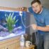 CO2 for Aquarium Plants: Boost Growth & Control Algae