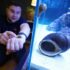 How to Control Green Water Algae in Your Aquarium