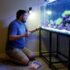 Guppy Feeding Guide (Proven Advice For A Long Life)
