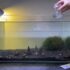 Dragon Fish Goby Care 101 (aka Violet Goby)