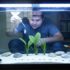 Planarian Worms In Your Aquarium: How To Get Rid Of Them