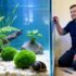 Bettas And Harlequin Rasboras: Are They a  Good Fit?