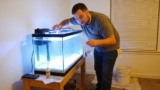 From Empty Tank to Fish Paradise: A Beginner’s Setup Guide