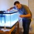 Best 30 Gallon Fish Tank