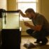 7 Best Gravels For Fish Tanks & What To Look For