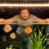 Kissing Gourami 101: Care, Tank Mates, Size More