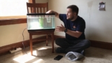 Happy Fish, Simple Tank: Beginner’s Guide