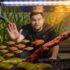 Kissing Gourami 101: Care, Tank Mates, Size More
