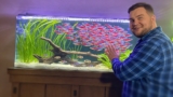 Schooling Fish for Aquarium: What Are They, Which Are Best?