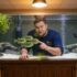 Guppy Fry  Baby Guppies: Caring for the Millions Fish (Guide)
