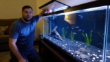 7 Best Gravels For Fish Tanks & What To Look For