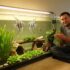 Top Pond Fish Picks for Every Water Garden