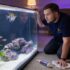 Best Freshwater Aquarium Snails: 9 Species & Care Guide