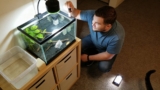 Swim Bladder Disease in Bettas & How to Treat It