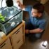 Mystery of the Black Ghost Knife Fish