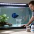 Pregnant Guppy Secrets Unveiled