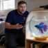 X‑Ray Tetra: Brilliant Care Guide