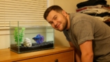 Betta Fish Care Guide: How To Care For Your Betta Fish