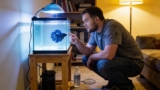 Betta Fish Care 101: Everything You Need To Know