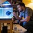 Betta Ich: The Ultimate Guide to Treating and Preventing