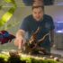 Betta Fish Diet: What to Feed & How Often for Health